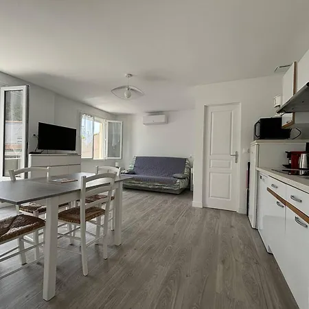 Saint-palais : T2 3 Etoiles, Proche Plage, Terrasse Sud, Parking, Clim Et Wifi - Fr-1-738-36 Lejlighed